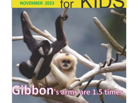 Science for Kids Nov 2023 Featured Image