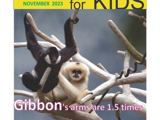 Science for Kids Nov 2023 Featured Image