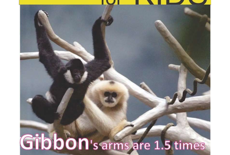 Science for Kids Nov 2023 Featured Image