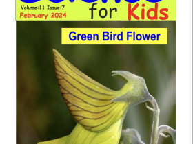 Science for Kids Magazine February 2024