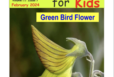 Science for Kids Magazine February 2024