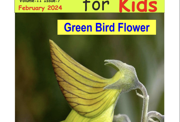 Science for Kids Magazine February 2024